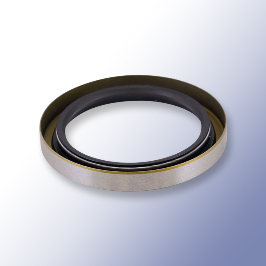 Oil Seal Type B Double Lipped